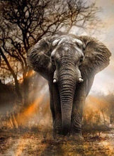 Load image into Gallery viewer, 5d Hotsale Diamond Painting Kit - DIY Custom Kits 163