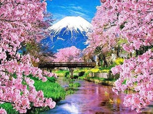 Load image into Gallery viewer, 5d Hotsale Diamond Painting Kit - DIY Custom Kits 186