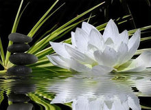 Load image into Gallery viewer, 5d Hotsale Diamond Painting Kit - DIY Custom Kits 304