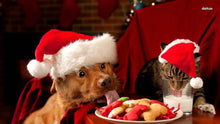 Load image into Gallery viewer, Dog And Cat Christmas Eat Diamond Painting Kit - DIY
