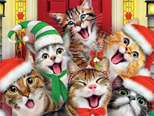 Load image into Gallery viewer, Christmas Cat Diamond Painting Kit - DIY
