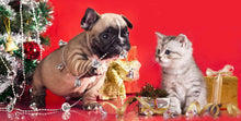 Load image into Gallery viewer, Dog And Cat Christmas Diamond Painting Kit - DIY
