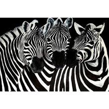 Load image into Gallery viewer, Animal Zebra Diamond Painting Kit - DIY
