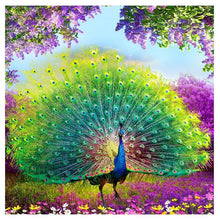 Load image into Gallery viewer, Peacock Wealth And Good Fortune Diamond Painting Kit - DIY
