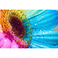 Load image into Gallery viewer, Colorful Sunflowers Diamond Painting Kit - DIY
