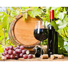 Load image into Gallery viewer, Fruit and wine Diamond Painting Kit - DIY
