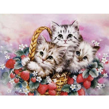 Load image into Gallery viewer, Cat In The Basket Diamond Painting Kit - DIY
