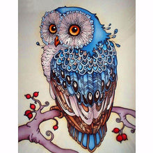 Load image into Gallery viewer, Cute Owl Diamond Painting Kit - DIY

