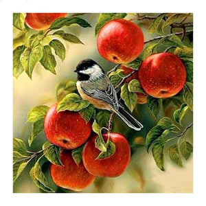Bird In Apple Diamond Painting Kit - DIY