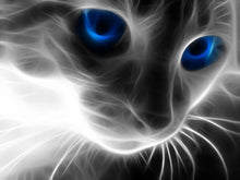 Load image into Gallery viewer, 5d Cat Diamond Painting Kit Premium-58

