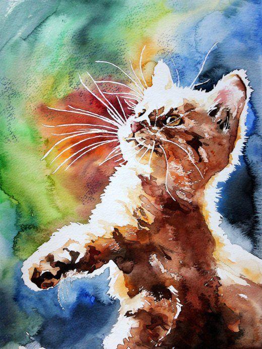 5d Cat Diamond Painting Kit Premium-8