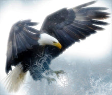 Load image into Gallery viewer, Bald Eagle Diamond Painting Kit - DIY
