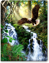 Load image into Gallery viewer, Landscape Eagle Waterfall Diamond Painting Kit - DIY
