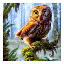 Load image into Gallery viewer, Owl Needlework Diamond Painting Kit - DIY
