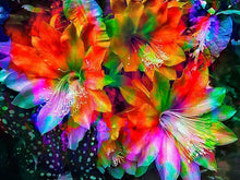 Load image into Gallery viewer, Rainbow Flowers Diamond Painting Kit - DIY Rainbow Flowers-14
