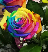 Load image into Gallery viewer, Rainbow Flowers Diamond Painting Kit - DIY Rainbow Flowers-15
