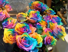 Load image into Gallery viewer, Rainbow Flowers Diamond Painting Kit - DIY Rainbow Flowers-17

