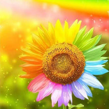 Load image into Gallery viewer, Rainbow Flowers Diamond Painting Kit - DIY Rainbow Flowers-1
