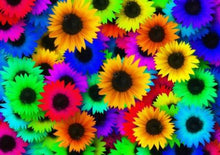 Load image into Gallery viewer, Rainbow Flowers Diamond Painting Kit - DIY Rainbow Flowers-5
