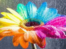 Load image into Gallery viewer, Rainbow Flowers Diamond Painting Kit - DIY Rainbow Flowers-6
