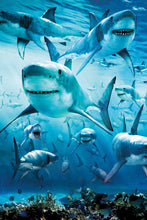 Load image into Gallery viewer, Sharks Animal Diamond Painting Kit - DIY
