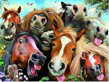 Load image into Gallery viewer, Horses Funny Diamond Painting Kit - DIY
