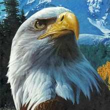 Load image into Gallery viewer, Eagle Seeing Diamond Painting Kit - DIY
