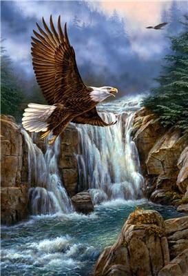 Landscape Eagle Fly Waterfall Diamond Painting Kit - DIY