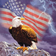 Load image into Gallery viewer, Eagles Flag And Thunder Diamond Painting Kit - DIY
